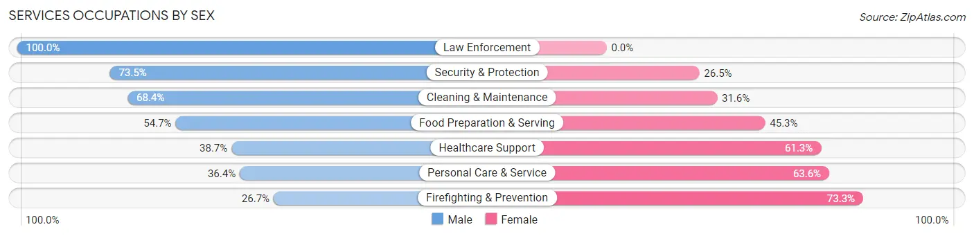 Services Occupations by Sex in Zip Code 24136