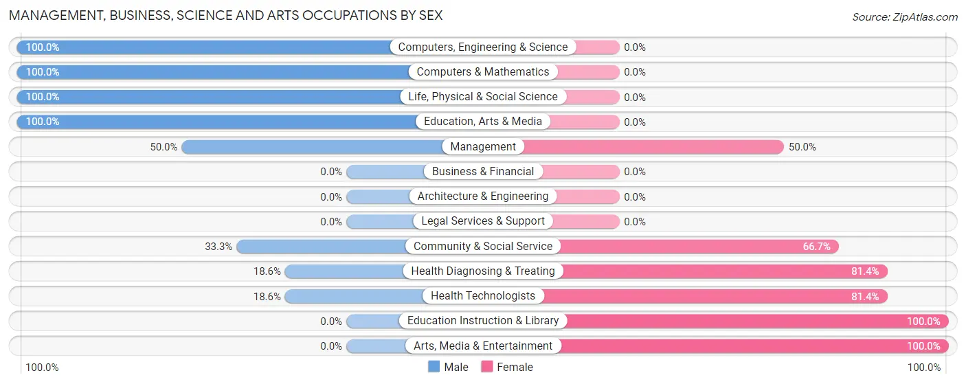 Management, Business, Science and Arts Occupations by Sex in Zip Code 24138