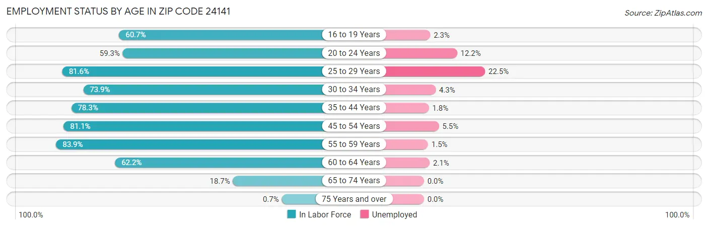 Employment Status by Age in Zip Code 24141