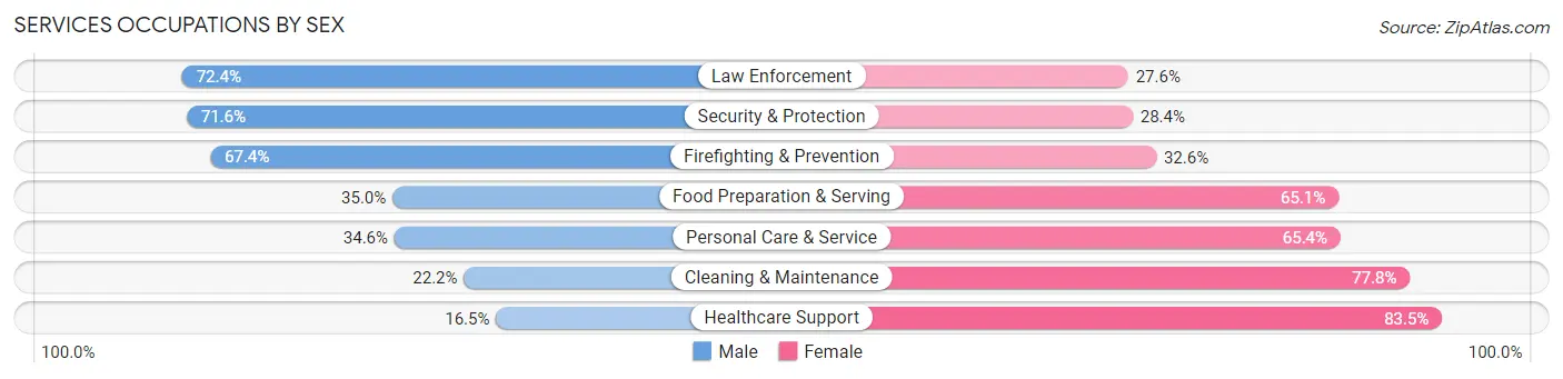 Services Occupations by Sex in Zip Code 24141