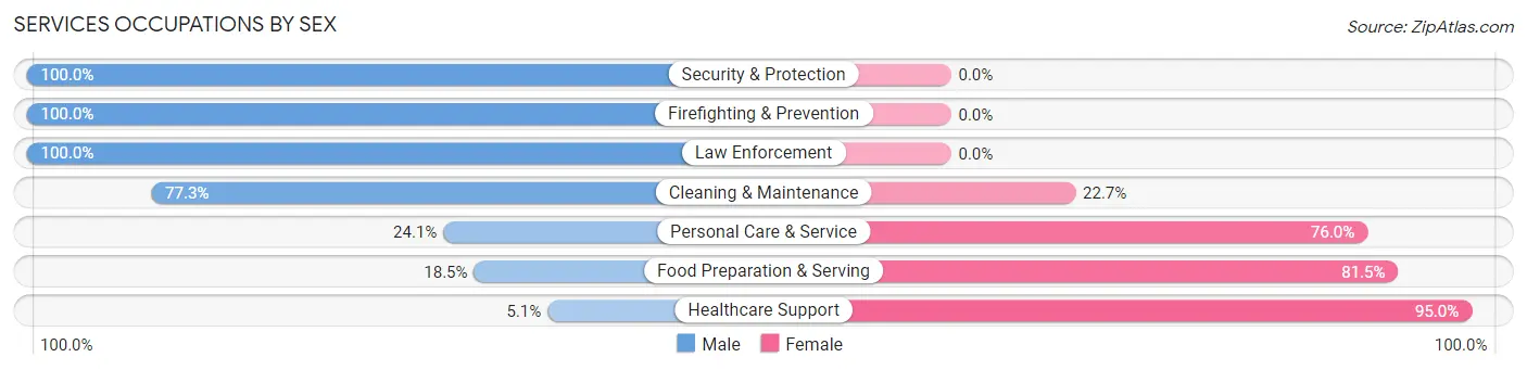 Services Occupations by Sex in Zip Code 24148