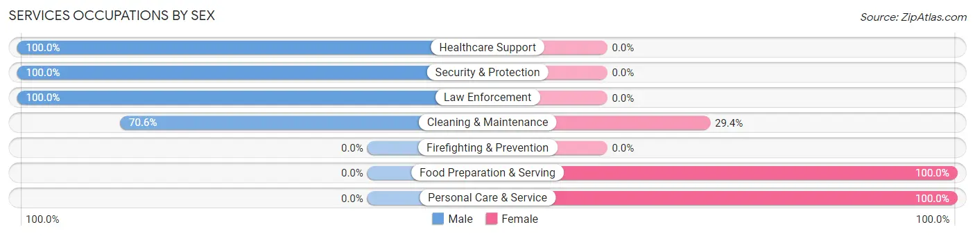 Services Occupations by Sex in Zip Code 24149