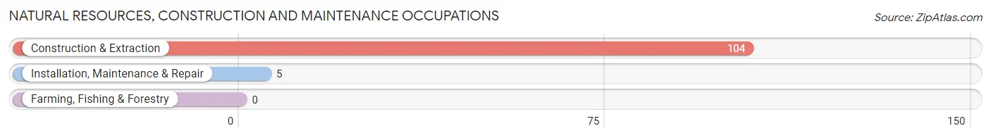 Natural Resources, Construction and Maintenance Occupations in Zip Code 24150