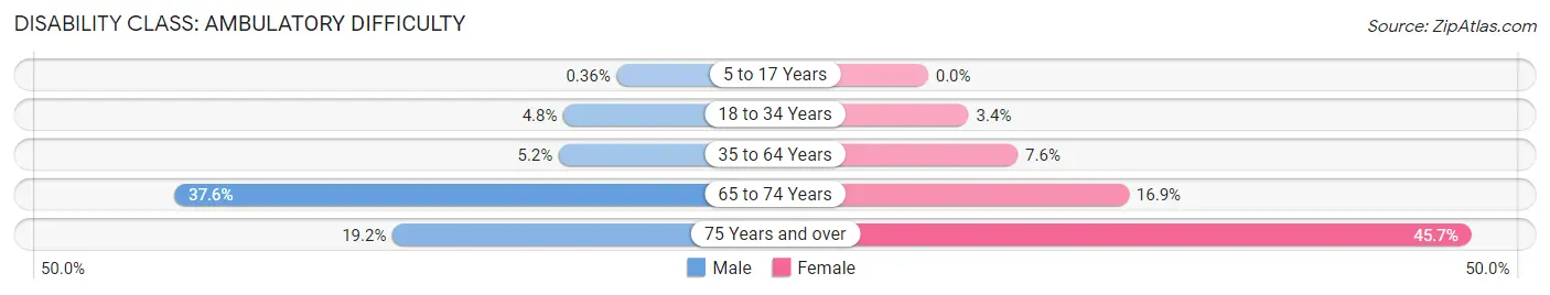 Disability in Zip Code 24171: <span>Ambulatory Difficulty</span>