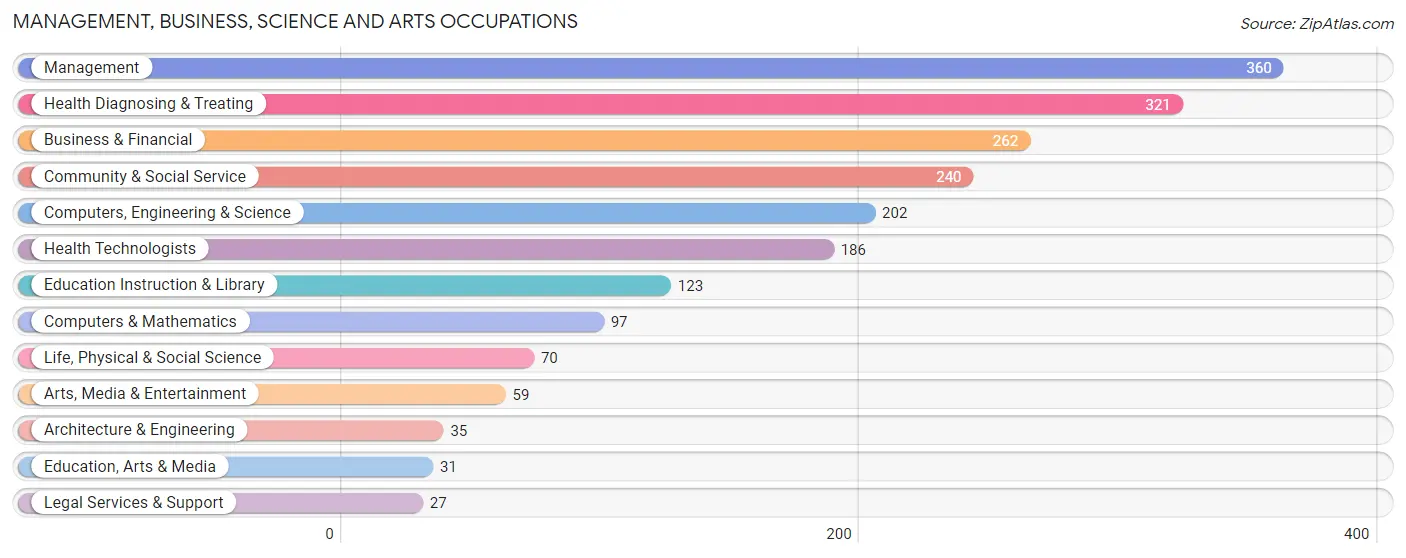 Management, Business, Science and Arts Occupations in Zip Code 24171