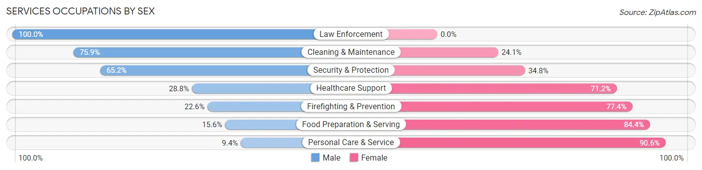 Services Occupations by Sex in Zip Code 24171