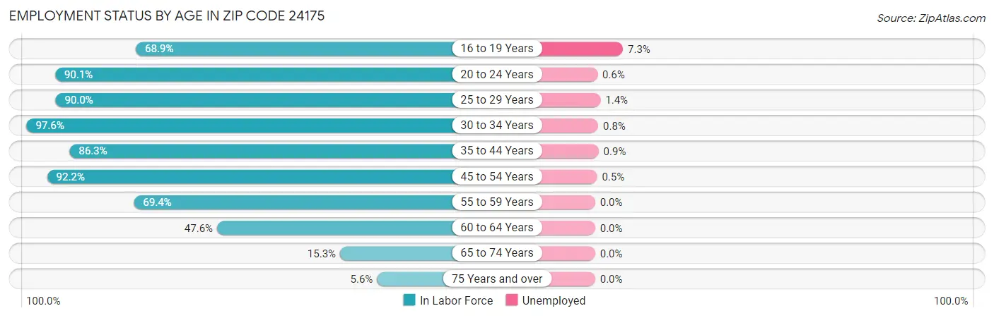 Employment Status by Age in Zip Code 24175