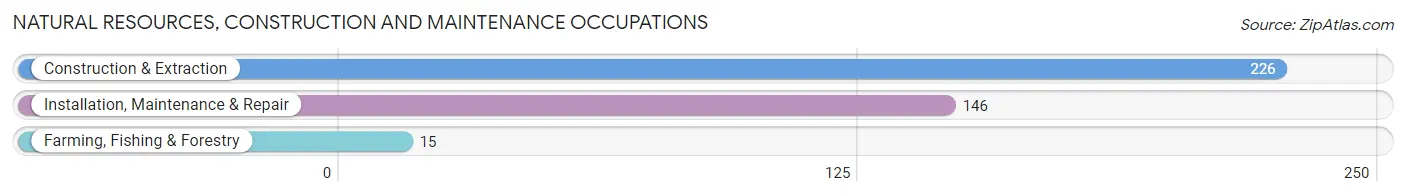 Natural Resources, Construction and Maintenance Occupations in Zip Code 24175