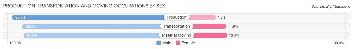 Production, Transportation and Moving Occupations by Sex in Zip Code 24175