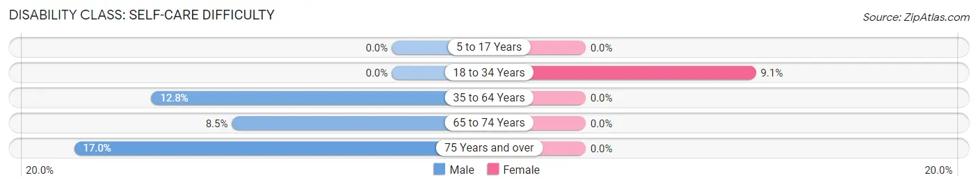 Disability in Zip Code 24176: <span>Self-Care Difficulty</span>