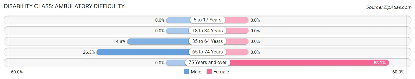 Disability in Zip Code 24185: <span>Ambulatory Difficulty</span>