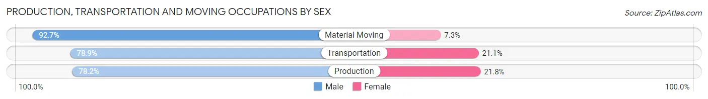Production, Transportation and Moving Occupations by Sex in Zip Code 24201