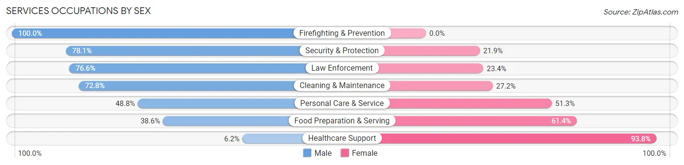 Services Occupations by Sex in Zip Code 24201
