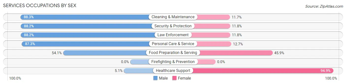 Services Occupations by Sex in Zip Code 24219