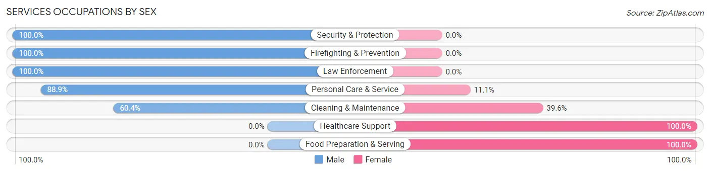 Services Occupations by Sex in Zip Code 24224