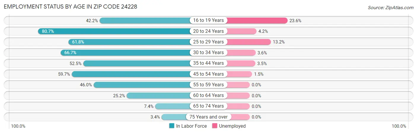 Employment Status by Age in Zip Code 24228