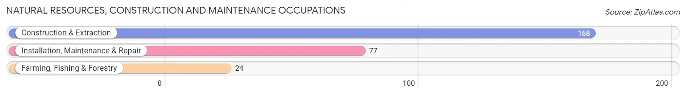 Natural Resources, Construction and Maintenance Occupations in Zip Code 24230