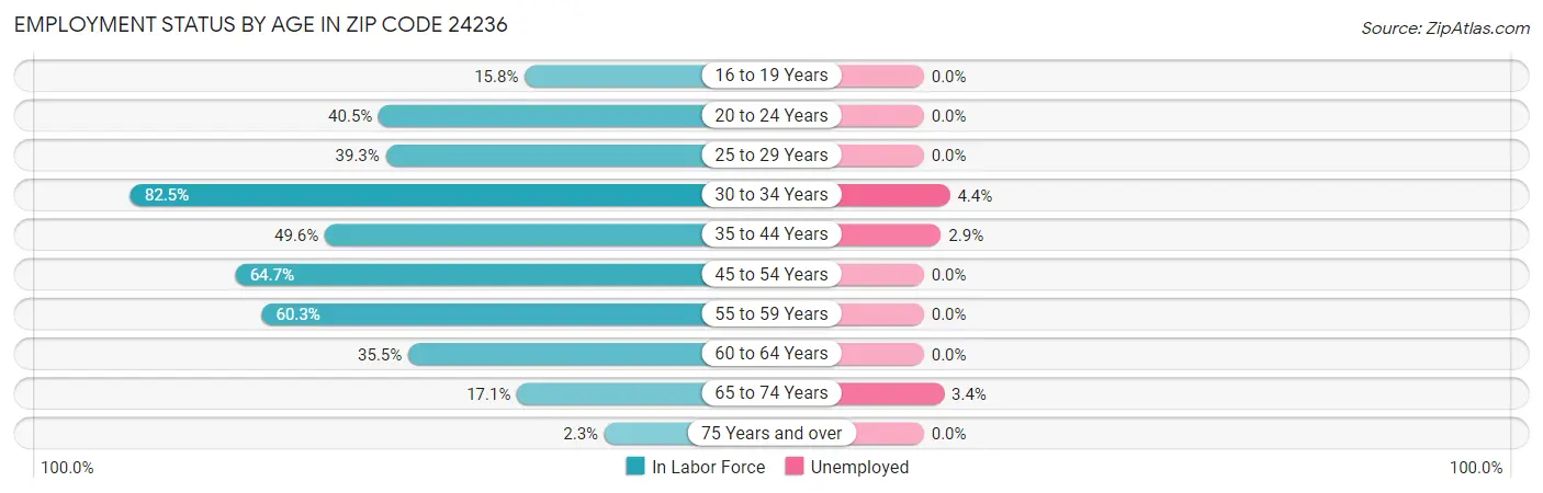 Employment Status by Age in Zip Code 24236