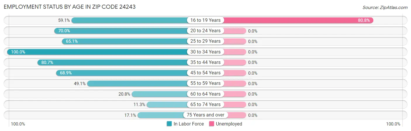 Employment Status by Age in Zip Code 24243