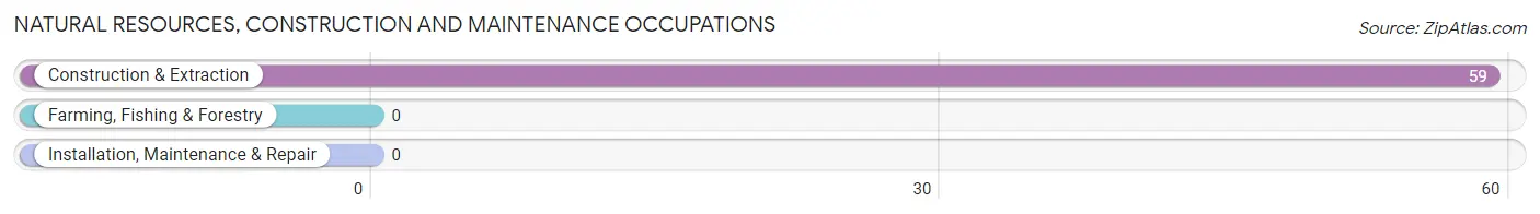 Natural Resources, Construction and Maintenance Occupations in Zip Code 24243