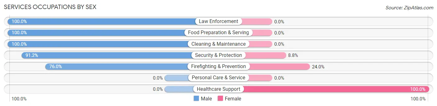 Services Occupations by Sex in Zip Code 24243