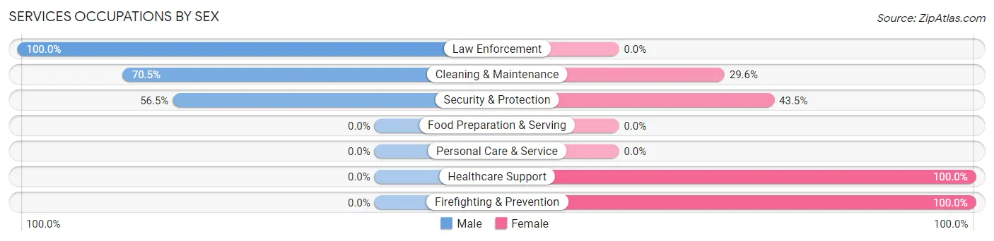 Services Occupations by Sex in Zip Code 24248