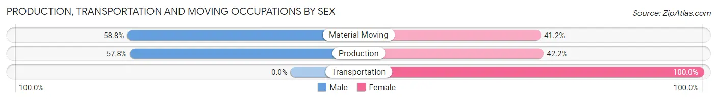 Production, Transportation and Moving Occupations by Sex in Zip Code 24250