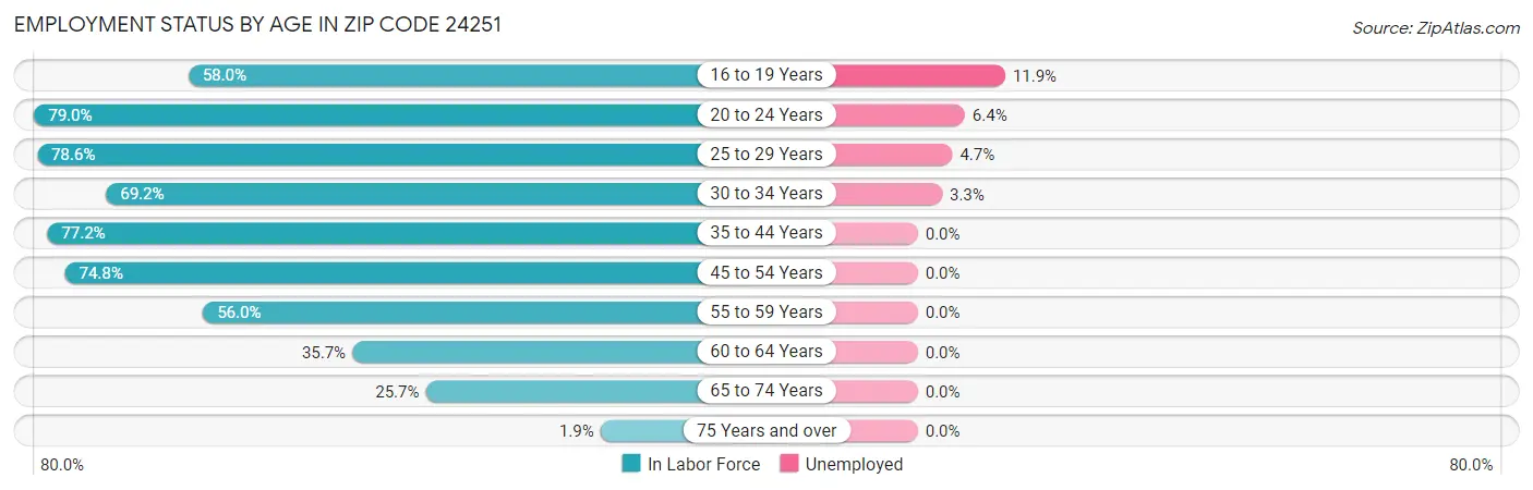 Employment Status by Age in Zip Code 24251