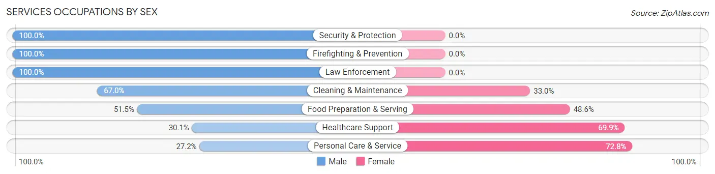Services Occupations by Sex in Zip Code 24251