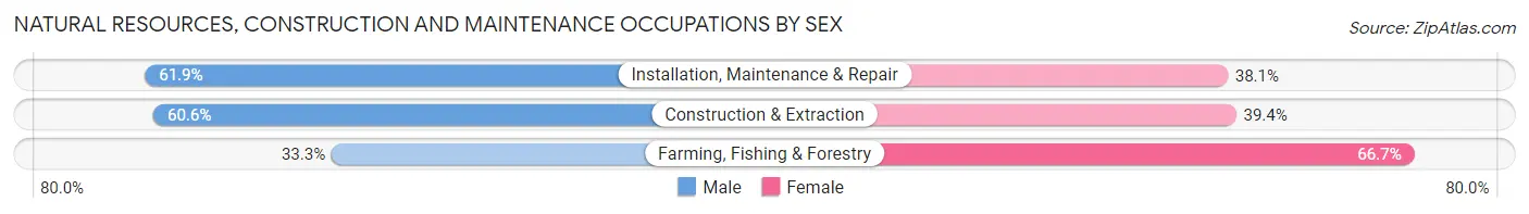 Natural Resources, Construction and Maintenance Occupations by Sex in Zip Code 24258