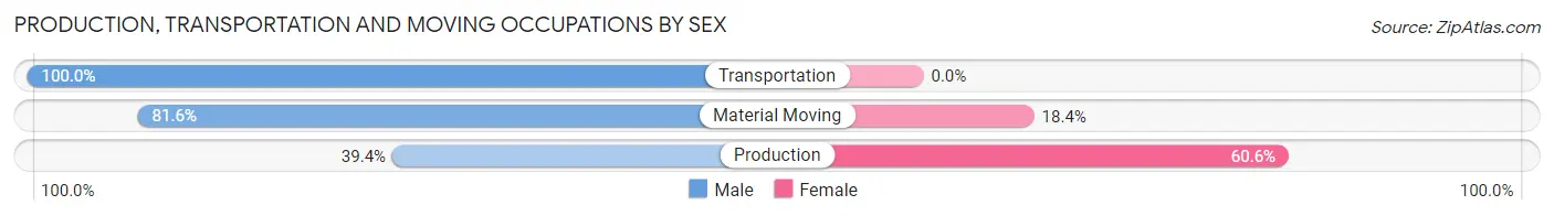 Production, Transportation and Moving Occupations by Sex in Zip Code 24258