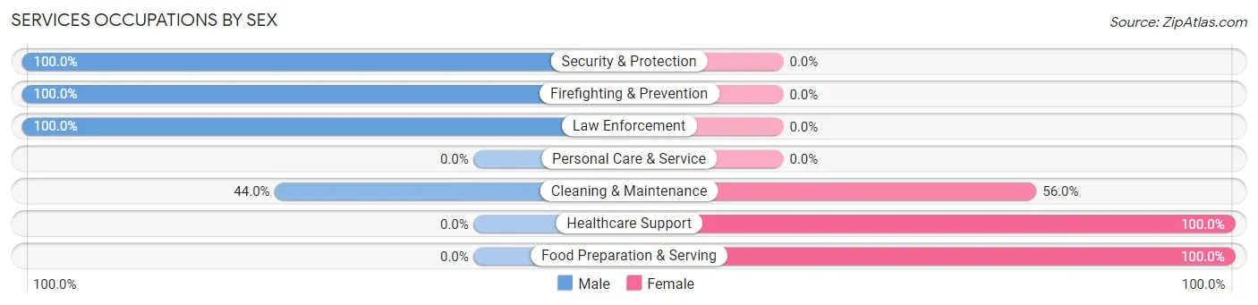 Services Occupations by Sex in Zip Code 24260