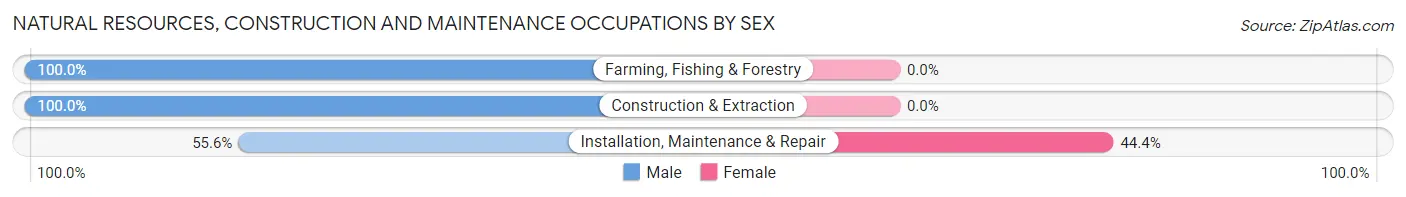 Natural Resources, Construction and Maintenance Occupations by Sex in Zip Code 24263
