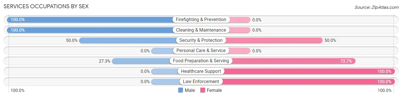 Services Occupations by Sex in Zip Code 24271