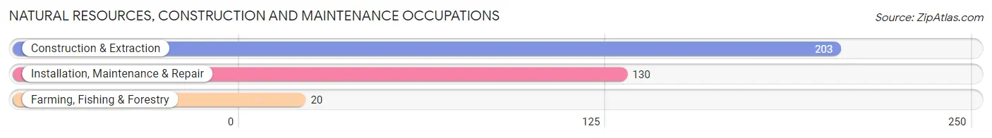 Natural Resources, Construction and Maintenance Occupations in Zip Code 24273