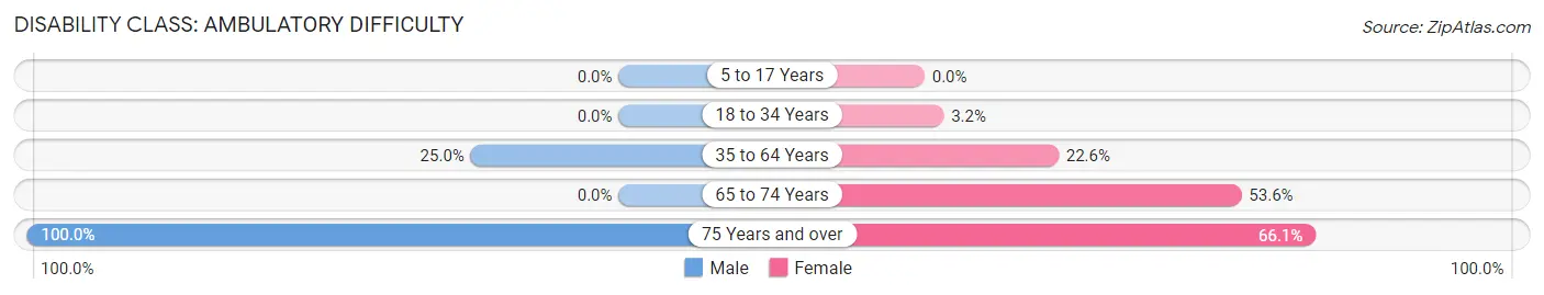 Disability in Zip Code 24280: <span>Ambulatory Difficulty</span>