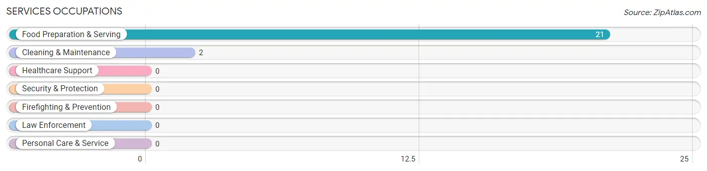 Services Occupations in Zip Code 24282