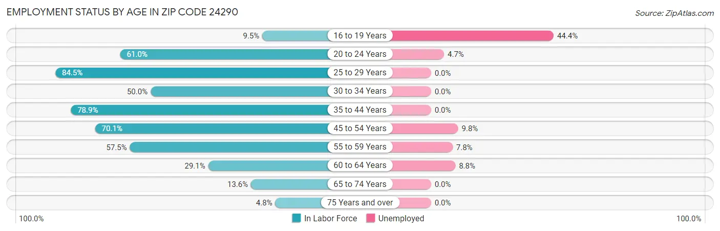 Employment Status by Age in Zip Code 24290