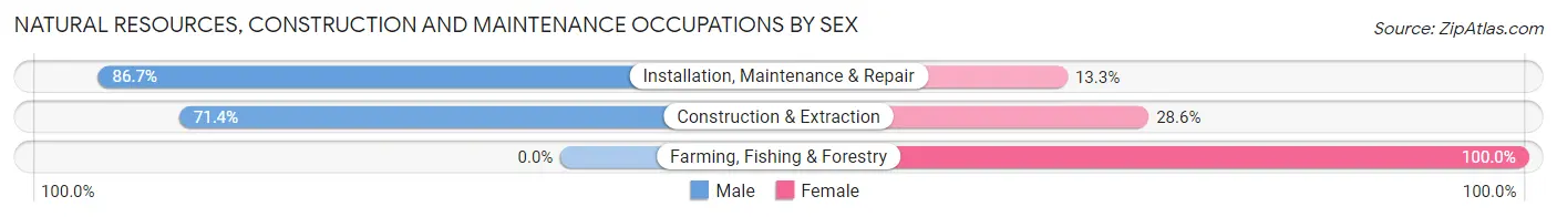 Natural Resources, Construction and Maintenance Occupations by Sex in Zip Code 24290