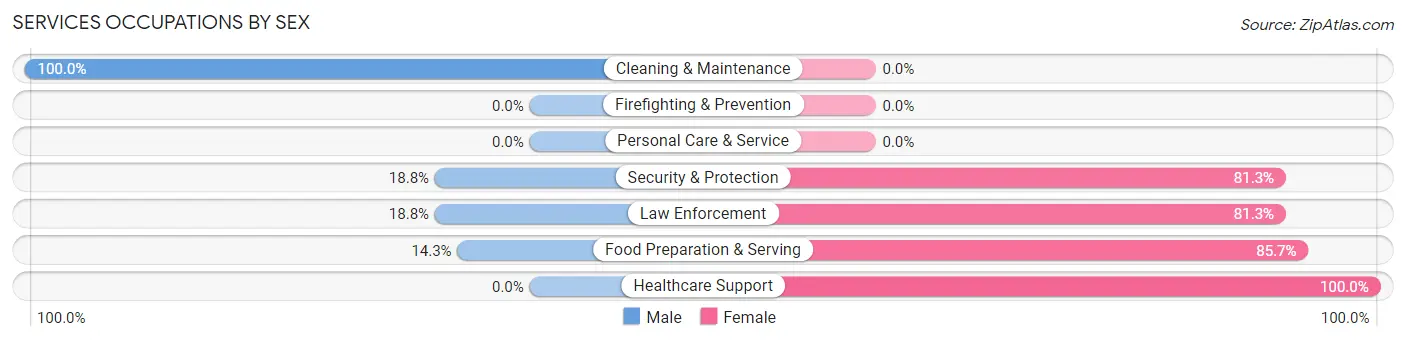 Services Occupations by Sex in Zip Code 24290
