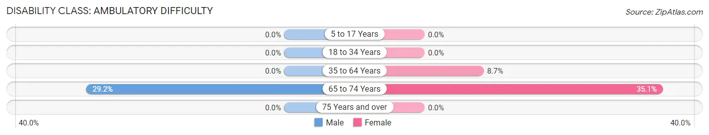 Disability in Zip Code 24292: <span>Ambulatory Difficulty</span>