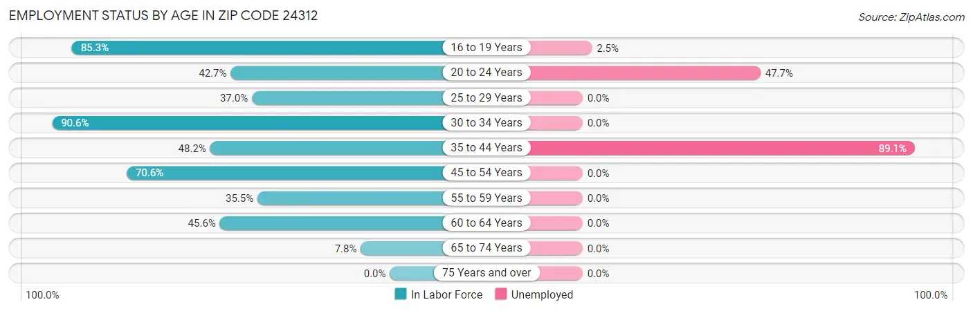 Employment Status by Age in Zip Code 24312