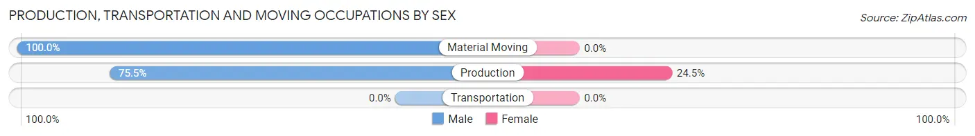 Production, Transportation and Moving Occupations by Sex in Zip Code 24312