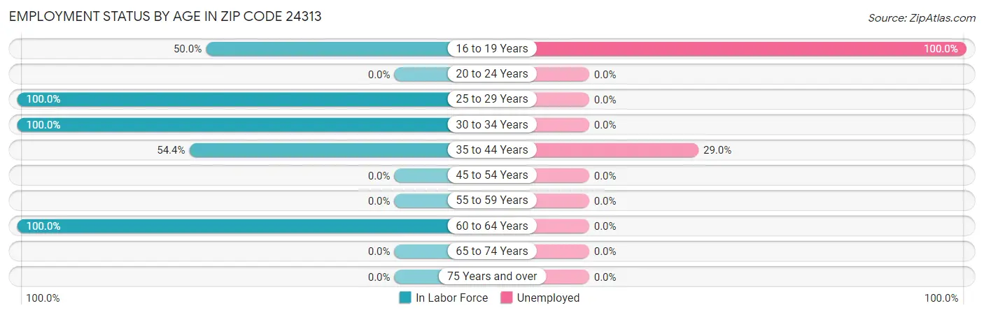 Employment Status by Age in Zip Code 24313