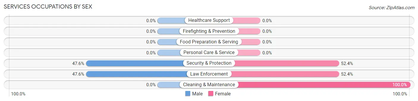 Services Occupations by Sex in Zip Code 24314