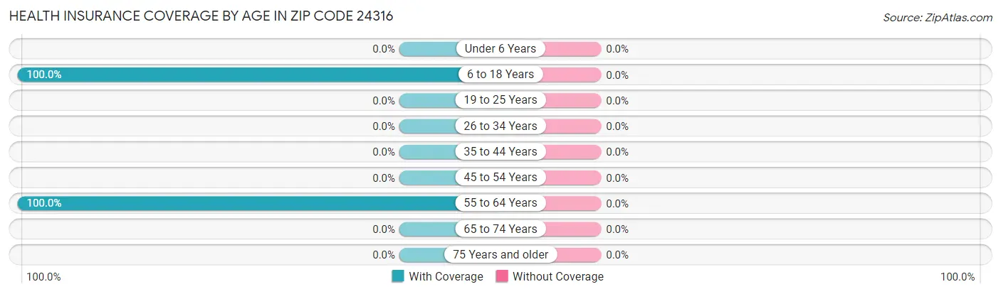 Health Insurance Coverage by Age in Zip Code 24316