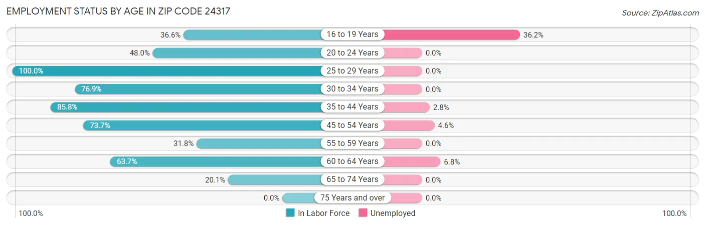 Employment Status by Age in Zip Code 24317