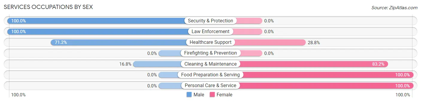 Services Occupations by Sex in Zip Code 24317