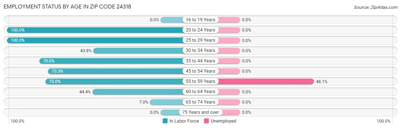 Employment Status by Age in Zip Code 24318