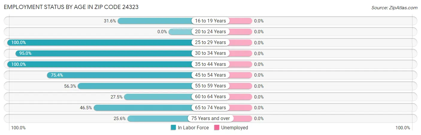 Employment Status by Age in Zip Code 24323
